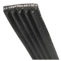 COURROIE 1309 J5 POLY-V POUR LAVE LINGE FAGOR - 55X5661