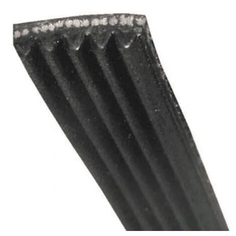 COURROIE 1309 J5 POLY-V POUR LAVE LINGE FAGOR - 55X5661 3 COURROIE 1309 J5 POLY-V POUR LAVE LINGE FAGOR - 55X5661